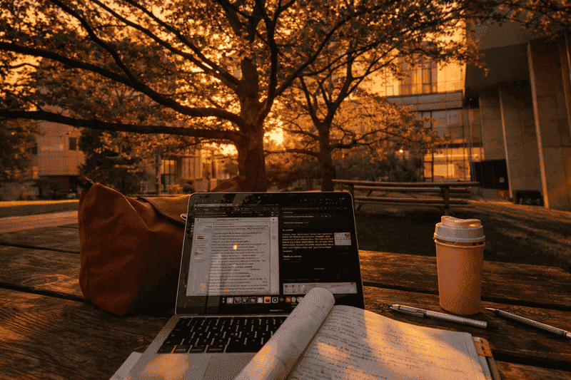 Imagem de estudos ao entardecer evitando erros que prejudicam o rendimento na faculdade